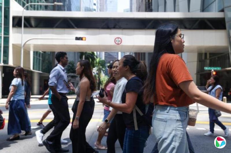 洪奕婷:糖派完了,下一站大选?