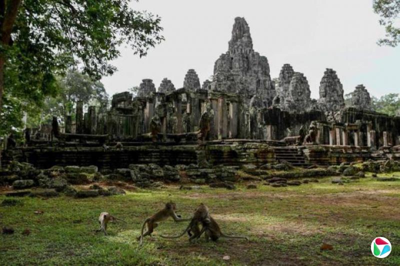 在吴哥窟景区撒尿 韩国导游遭停职