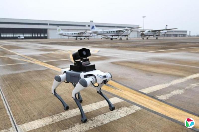“六小龙”云深处研发 浙江首个机场巡检机器人上岗