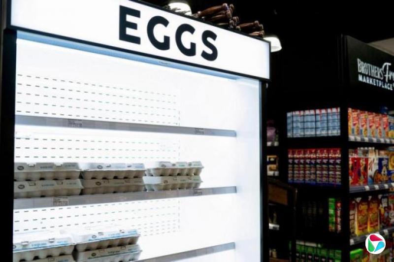 从鸡蛋价格到房地产 美国通胀再度升温