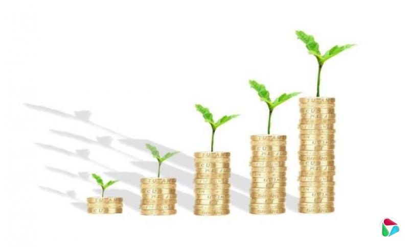 林心惠:财政盈余之后