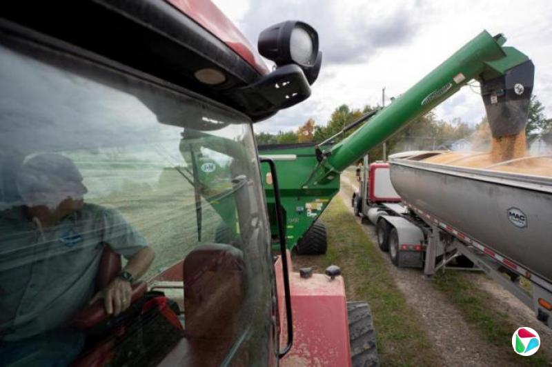 中国据报可能对美农食产品加征关税 分析:中美经贸摩擦或加剧