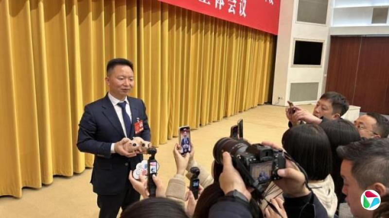 两会观察:地方人大代表团的花式秀