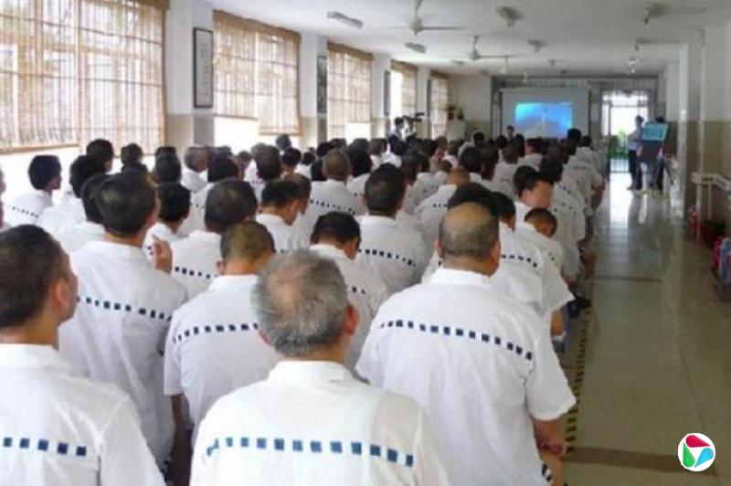 下午察:高龄是中国强奸犯的“免死金牌”?