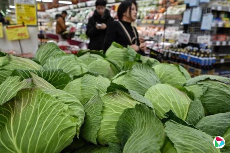 专家称担心引发粮食安全问题 日本将收紧外国人购买农地条例