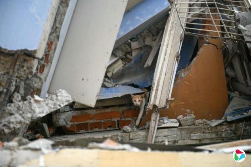 社论:缅甸震灾国际救援当仁不让