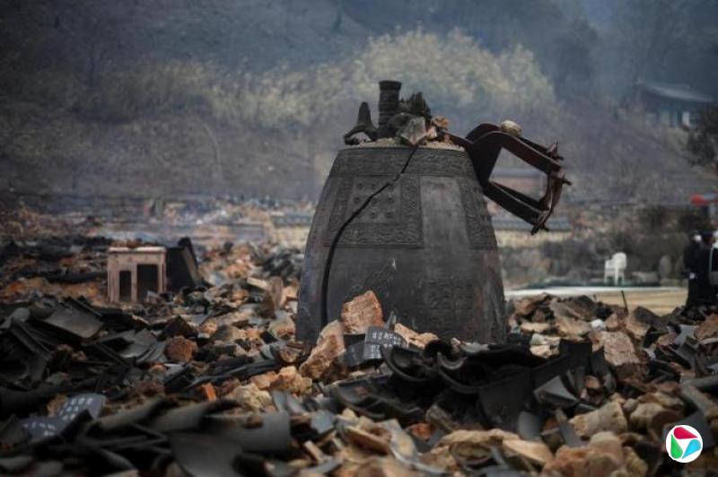 姜贵瑛:一场山火烧出国家级灾难