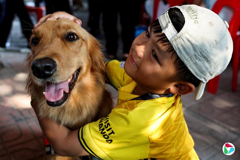 4月1日,泰国曼谷大楼倒塌事故的搜救行动仍在继续,一名儿童拥抱着泰国K9 USAR的一条搜救犬。(路透社)