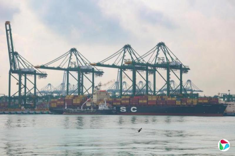 分析:新加坡商品面对美国10%对等关税  贸易谈判前景不明朗