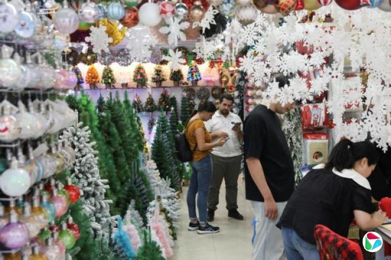 中国圣诞树厂商遭遇关税冲击 仍未收到美国订单