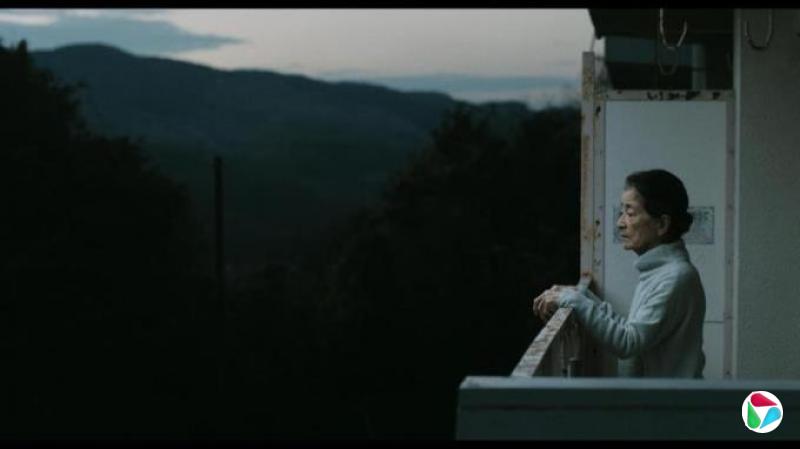 张立健:日本不平等比老龄化更要命