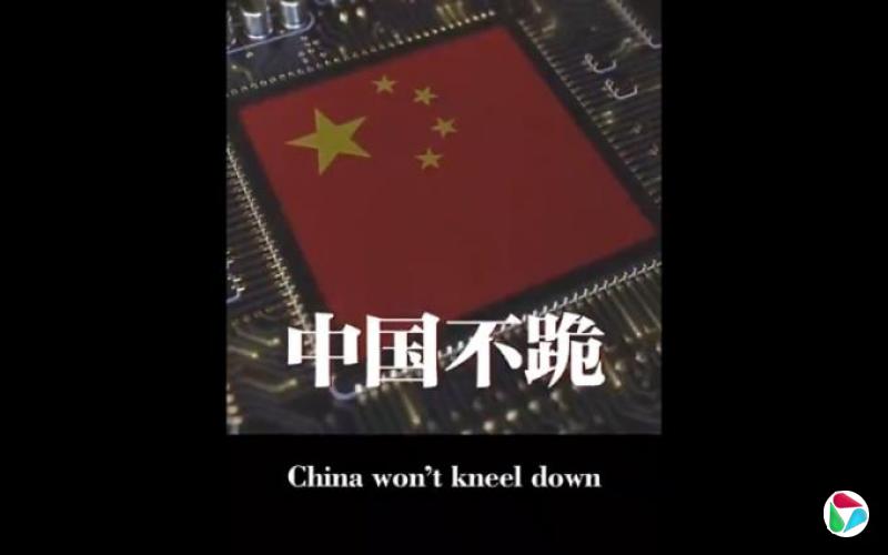 杨丹旭:从奉陪到底到不跪