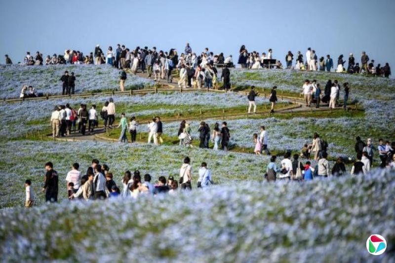 网上疯传7月大地震 日本官方发帖辟谣