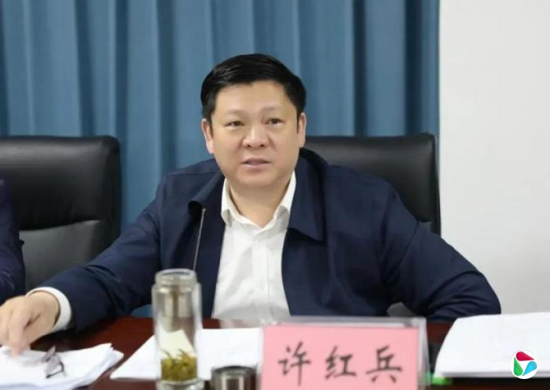 许红兵,主动投案