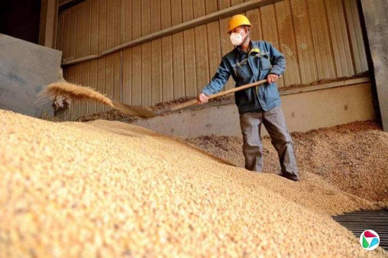 卢拉访华前夕 中国恢复向五家巴西企业购买大豆