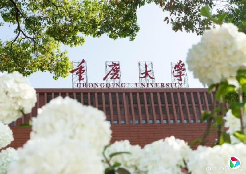 重庆大学通报:发表14篇SCI论文本科生之父被撤职
