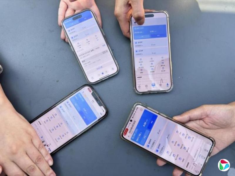 “真太白”“假太白”真假不辨 中国受害者陷诈骗案痛失全副身家