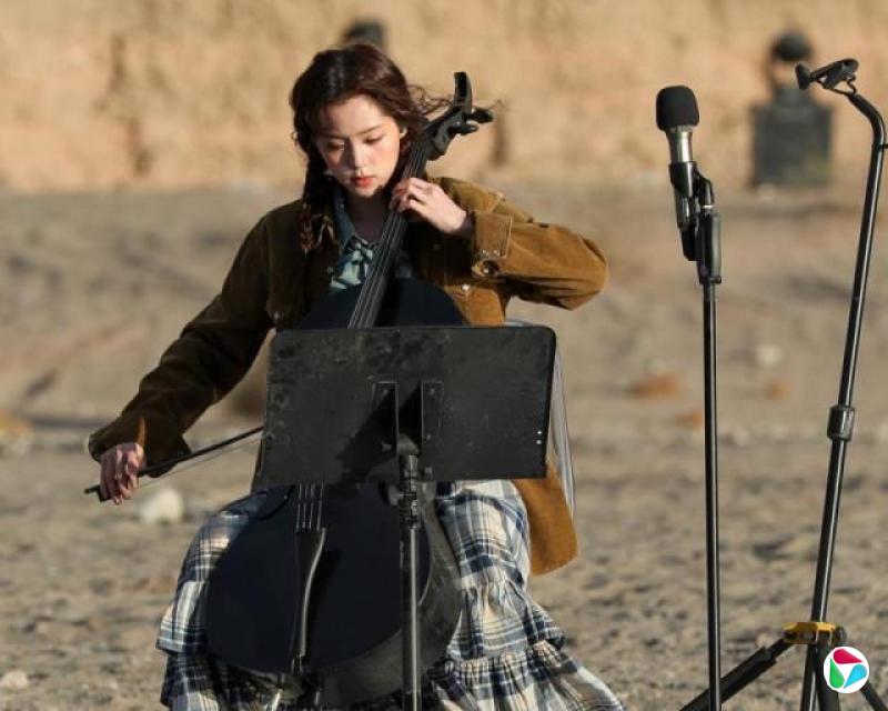 台陆委会调查涉与中共合作艺人 欧阳娜娜列为重点对象