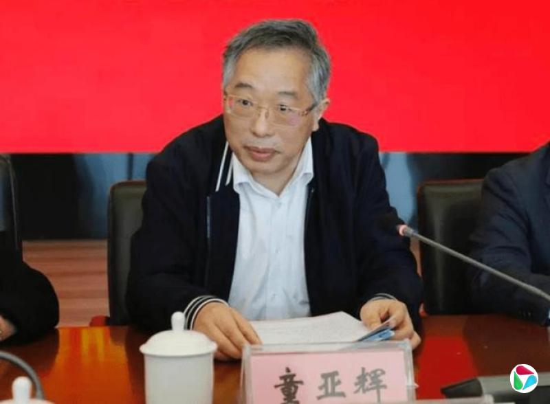 “颐云楼主人”童亚辉退休近五年主动投案