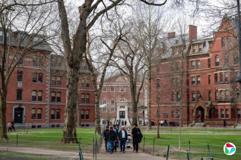 美国取消哈佛招收国际学生资格 强制现有国际生转学
