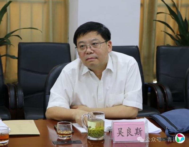 中央巡视组进驻期间,吴良斯任上被查