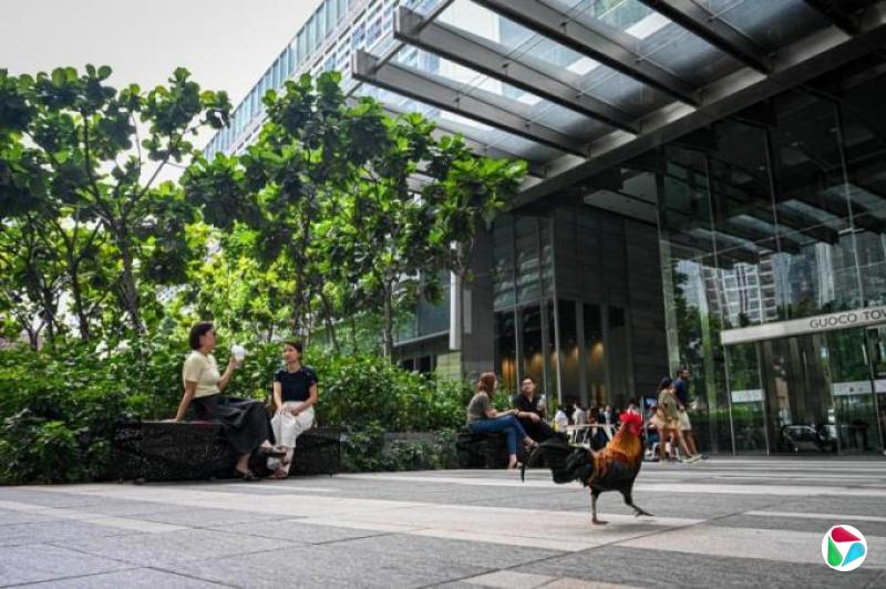 班妮:如何在新加坡克服无聊