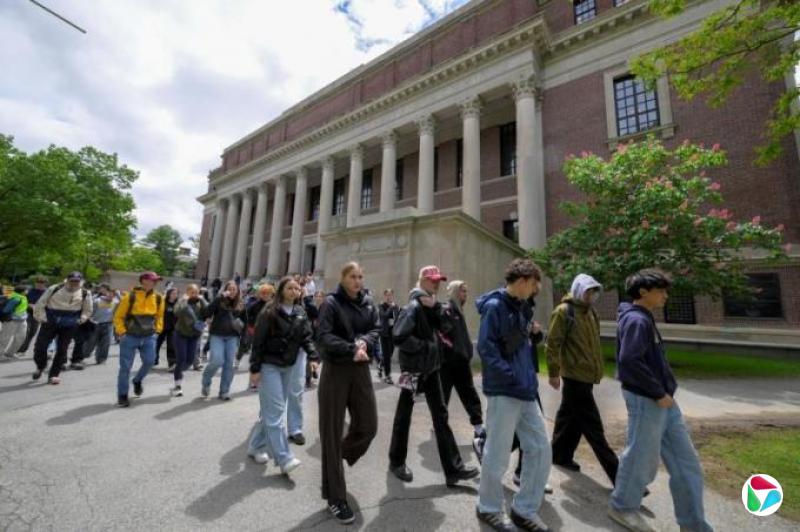 特朗普打压哈佛再受挫 法院紧急叫停“国际生禁令”