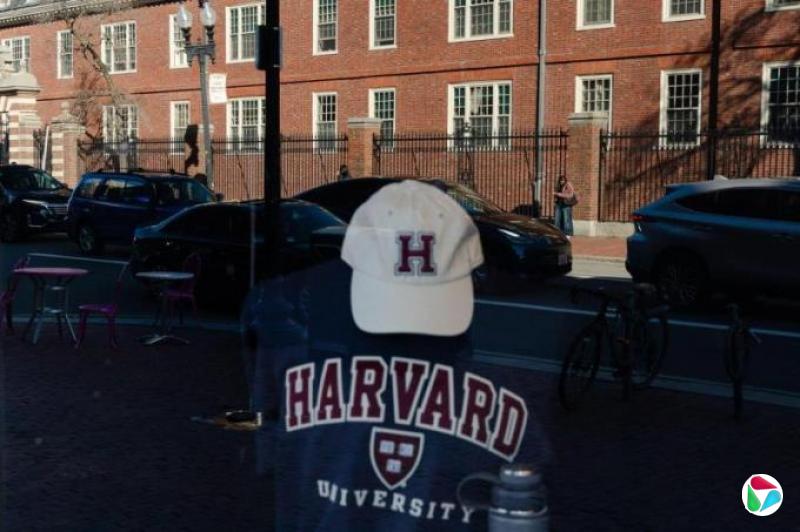 哈佛中国留学生去留两难 分析:禁令恐影响中美高校合作