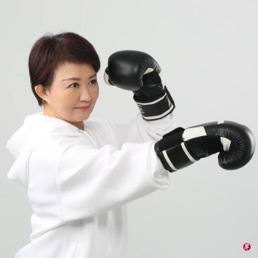 下午察:“不败女王”卢秀燕接棒国民党主席?