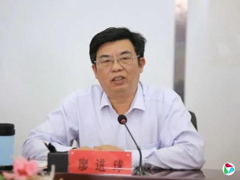 廖进球,主动交代问题