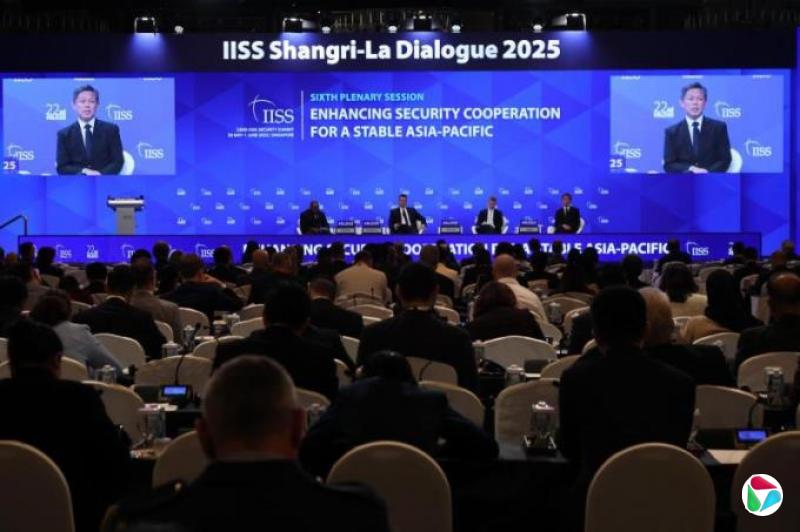 陈振声:无论国家大小 各国有能力责任护全球经济安全秩序