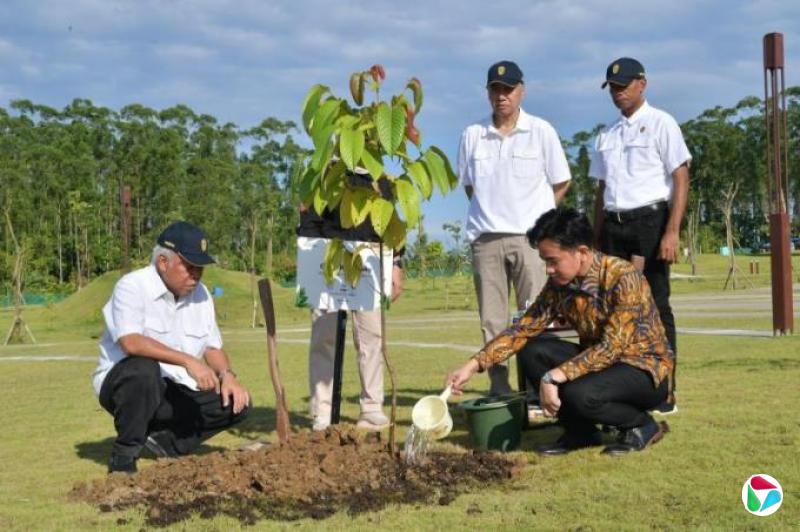 蓝云舟:吉布兰默默耕耘