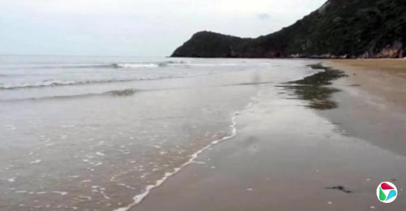 林任君:天下事 周遭事 事事关心