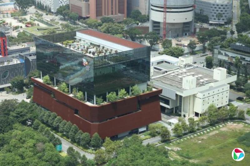 徐海娜:一场非专业演出的深意