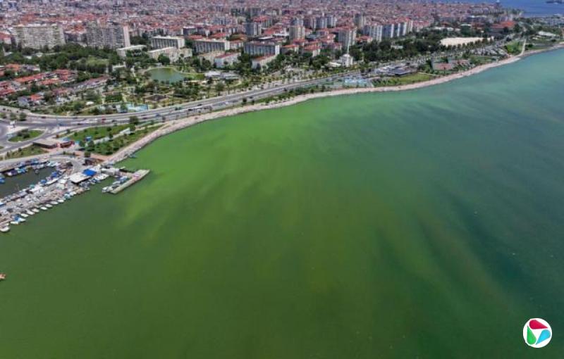 2024年6月12日,土耳其伊兹密尔湾的空拍图显示,由于浮游生物大量繁殖,海水颜色变为绿色和棕色。