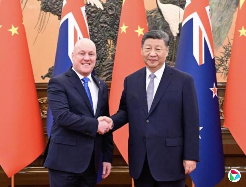 习近平会新西兰总理 吁正确看待处理差异分歧