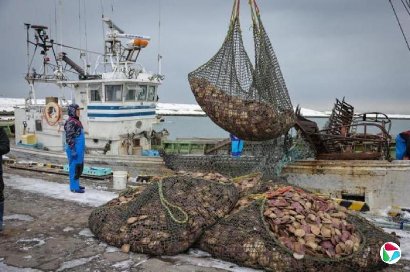 日本促中国解除剩余10地区海鲜禁令