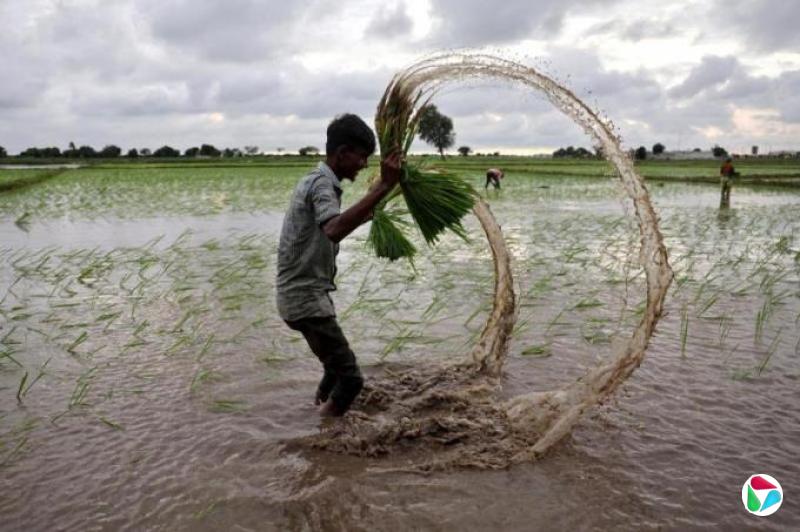 对等关税实施前最后一周  印度印尼与美国“接近达成协议”日韩分歧犹存