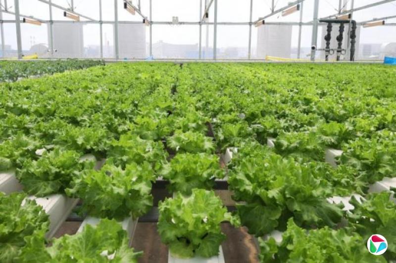 刘家明:“30·30愿景”与永续生活