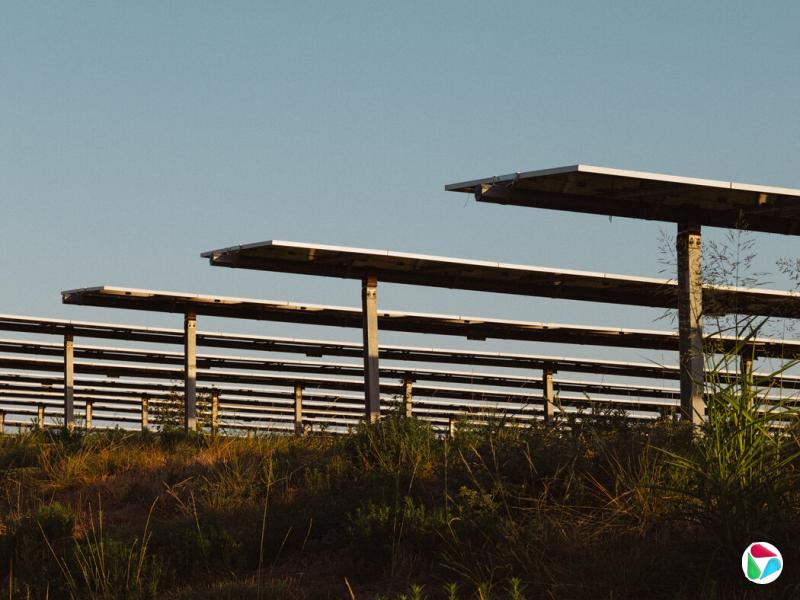 得克萨斯州的太阳能电池板,该州大幅提升了太阳能发电能力。