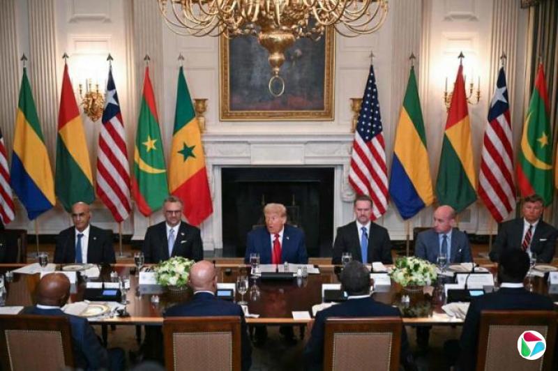 特朗普拉拢非洲国家 称美对非洲从援助转为贸易