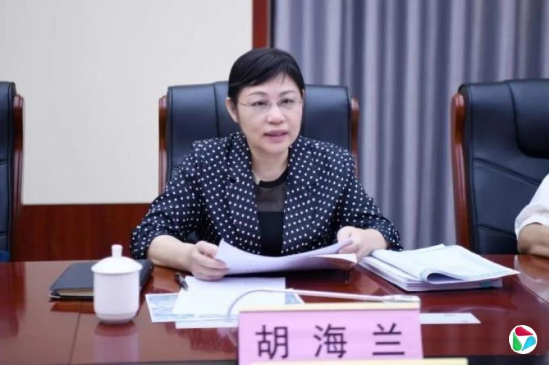 涉嫌严重违纪违法,胡海兰辞职