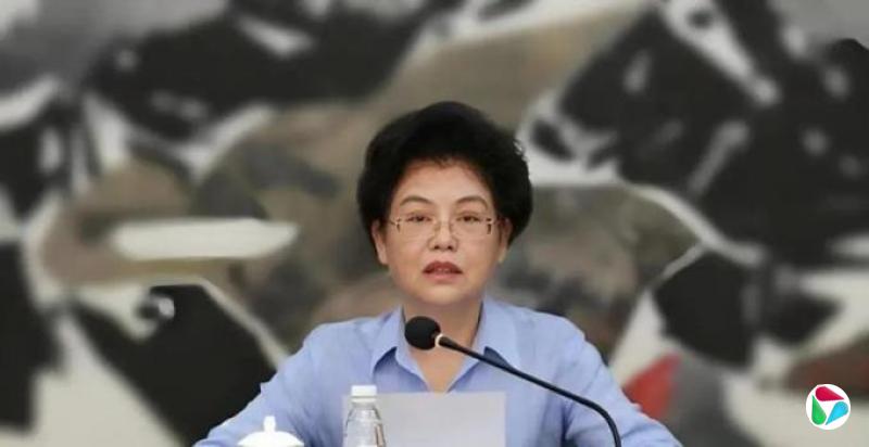 宁夏回族自治区政府前主席刘慧被查