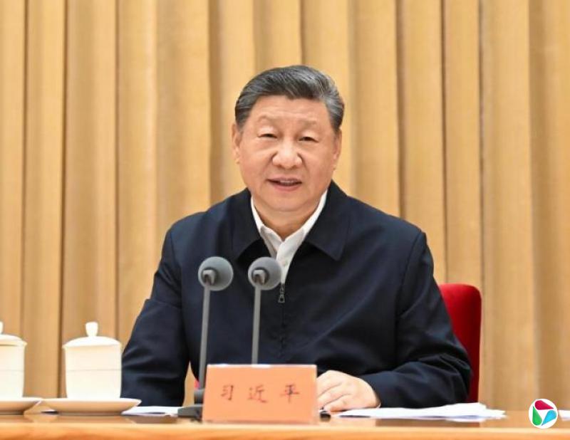 习近平罕见批评地方  扎堆发展人工智能和新能源汽车
