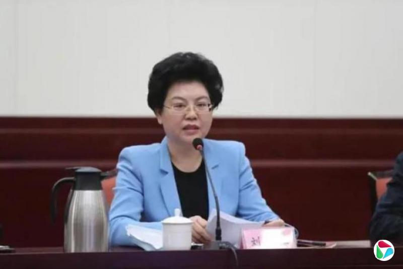 今年落马正部级“老虎”增至六人 宁夏政府原主席刘慧被查