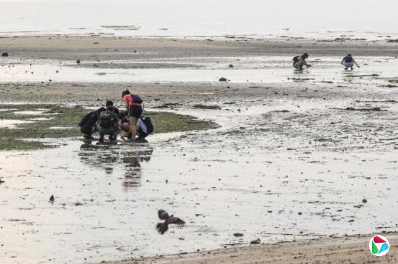 ???????黄伟曼:岛民后裔的提醒