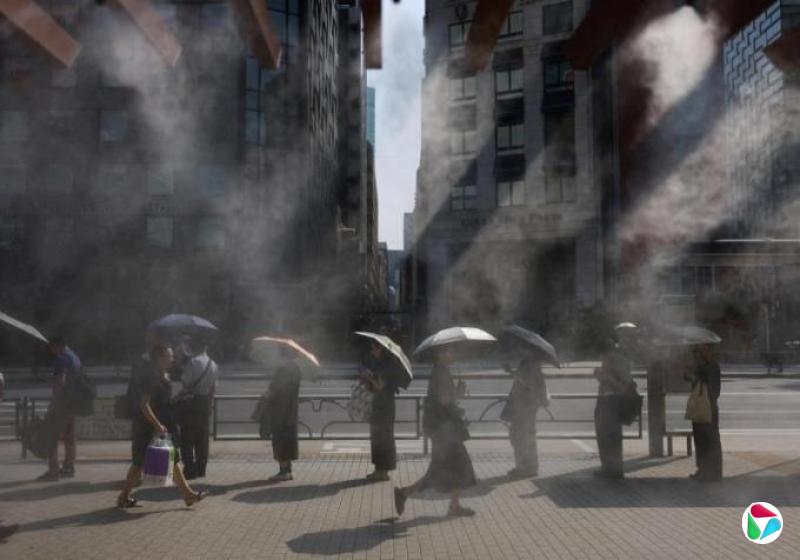 君不见:酷暑中的一抹清凉