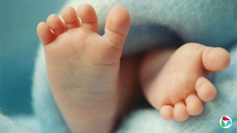 新生婴儿的脚板