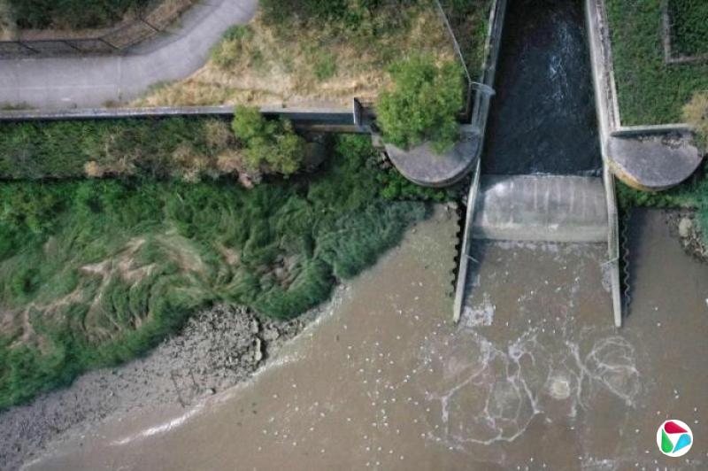 英格兰严重水污染事件激增六成 写历史新高