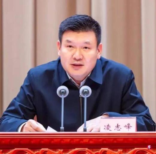 凌志峰任中国公安部副部长兼特勤局长